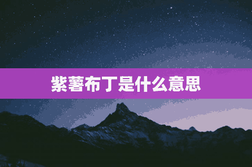 紫薯布丁是什么意思